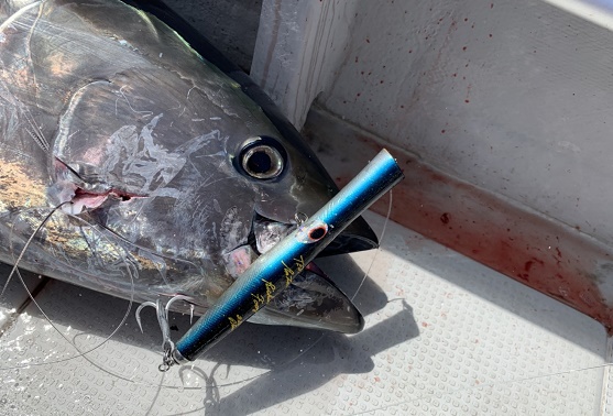 L1-2 | shell shaping lures