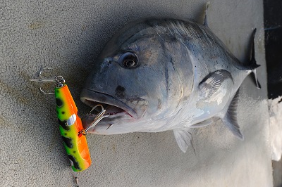 貝田ルアー トライデント L1-3 | shell shaping lures