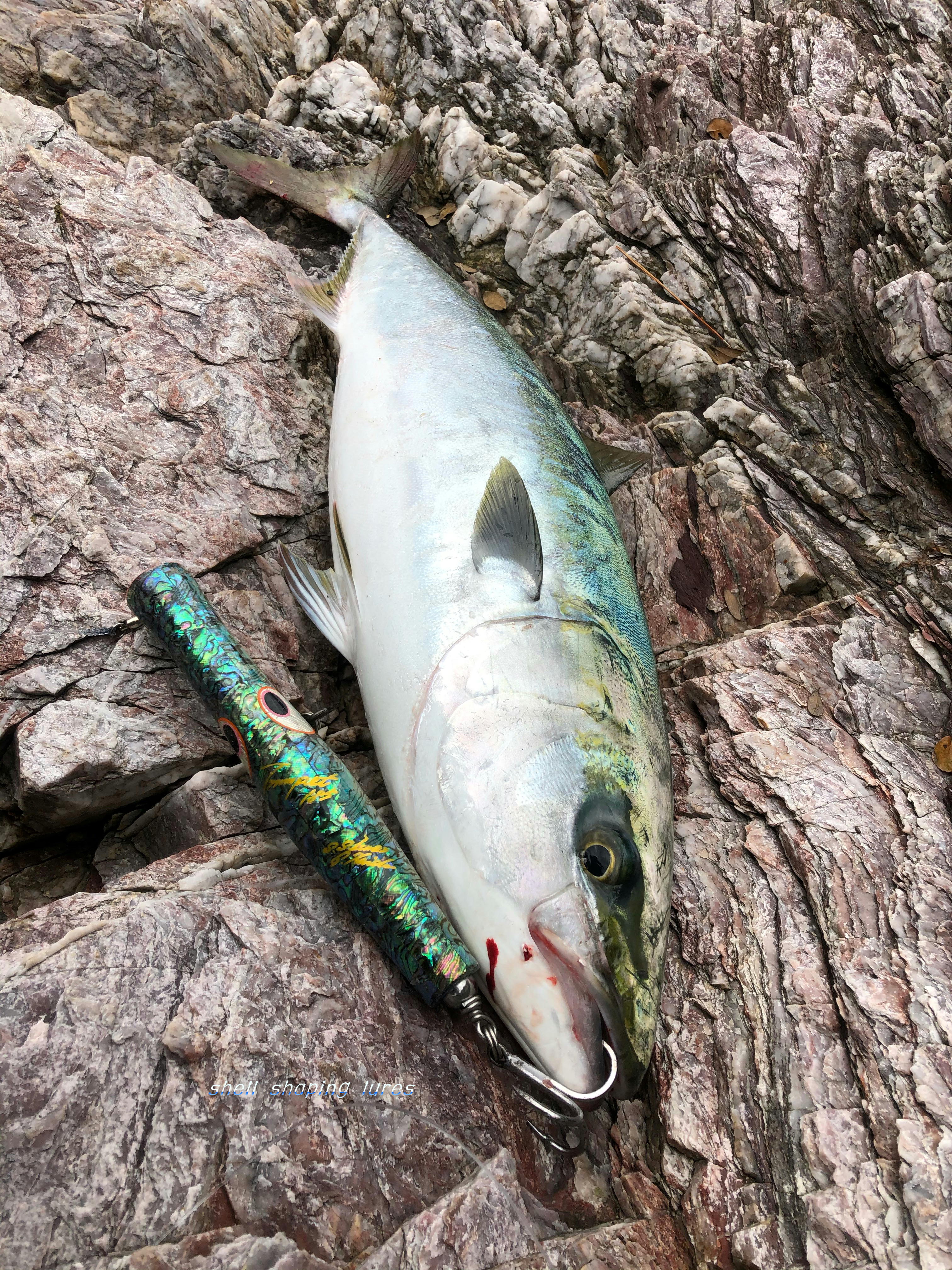 2020,10～12 | shell shaping lures