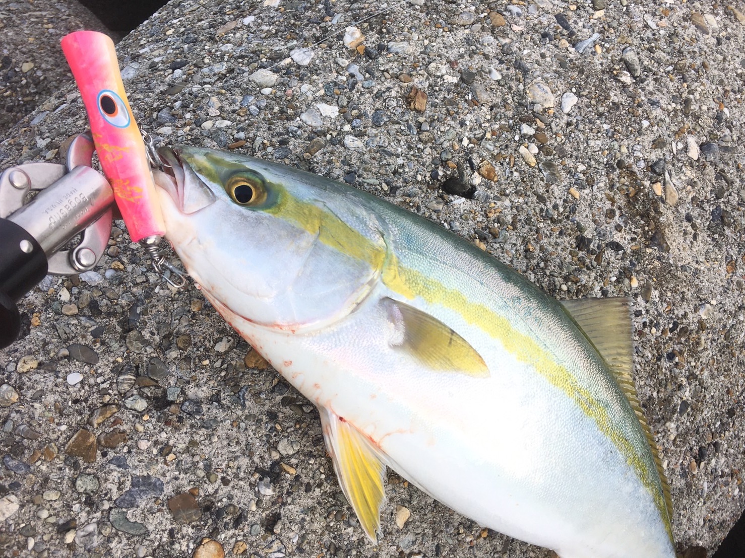 L2-1 | shell shaping lures