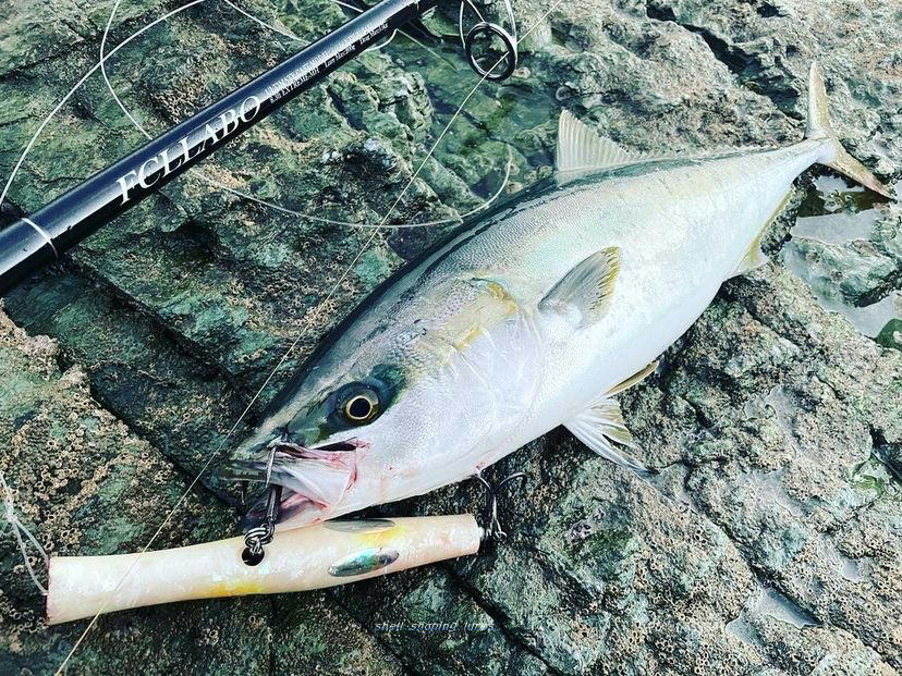2021, 7～ 9 | shell shaping lures