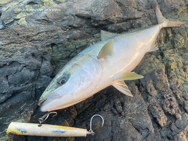 2021,10～12 | shell shaping lures