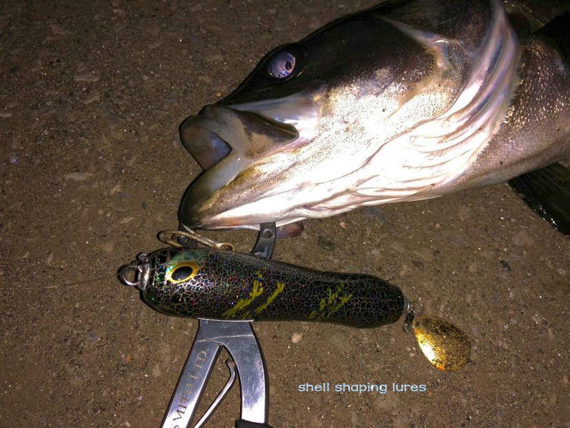2022, 4 ～ 6 | shell shaping lures