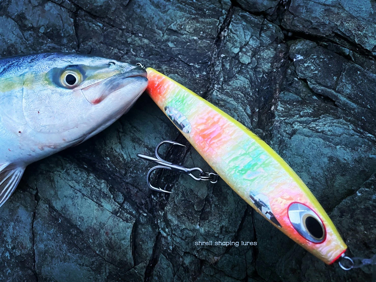 2022, 4 ～ 6 | shell shaping lures